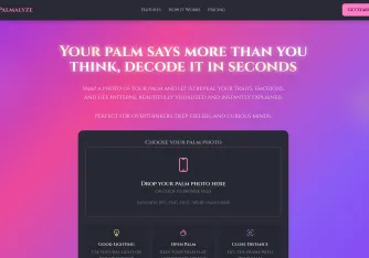 Hero Works Image - Palmalyze